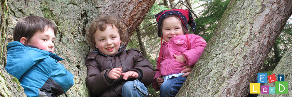 Image of children on a tree.